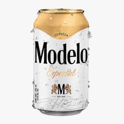 Modelo especial 