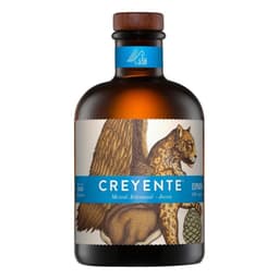 Creyente Joven 