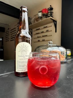 Perra Kombucha 355ml.